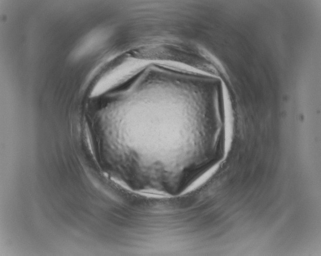 X0000079290059200612081829