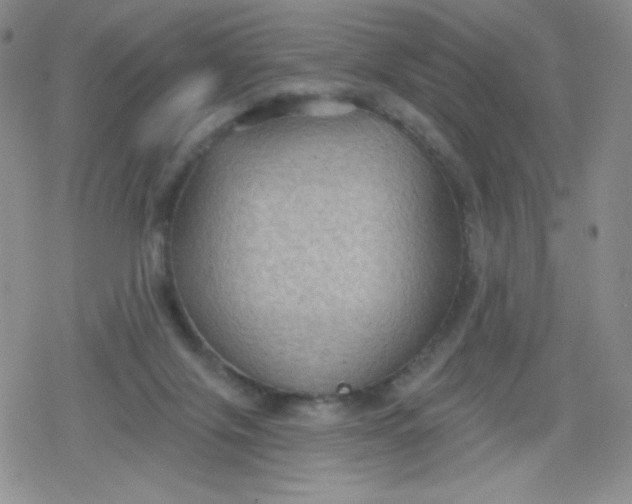 X0000079290071200612081829