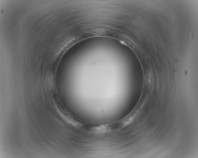 X0000079290092200612081830