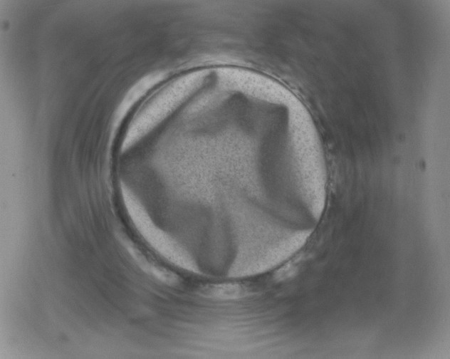 X0000079290104200612081829