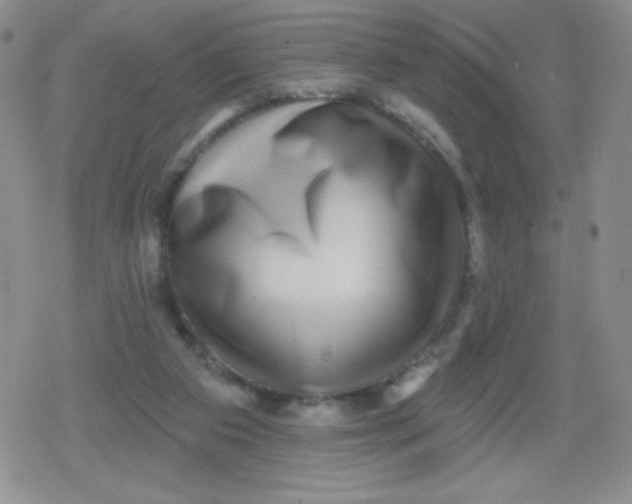 X0000079290113200612081829