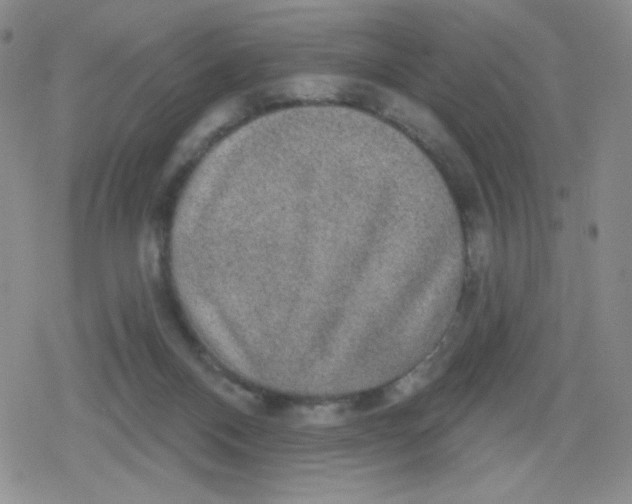 X0000079290120200612081828