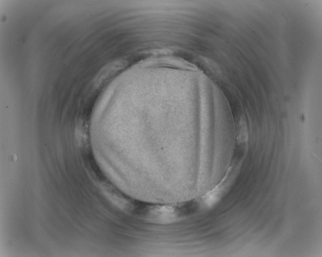 X0000079290140200612081828