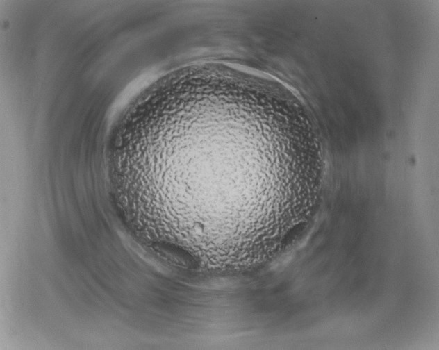 X0000079290149200612081827