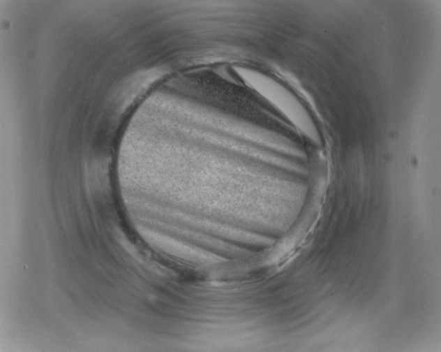 X0000079290154200612081827