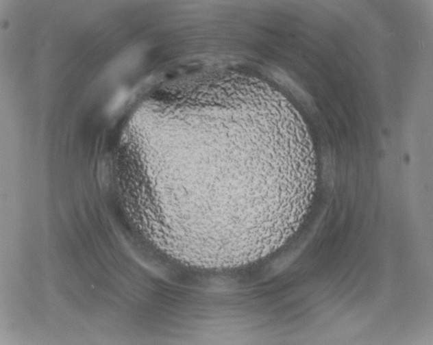 X0000079290165200612081828