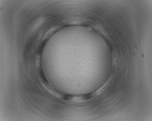 X0000079290171200612081828