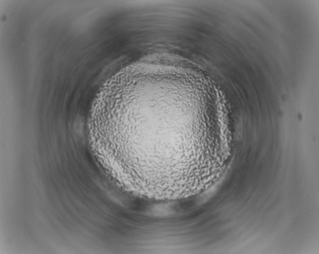 X0000079290178200612081828