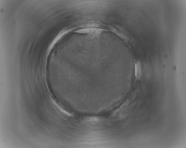 X0000079290195200612081827
