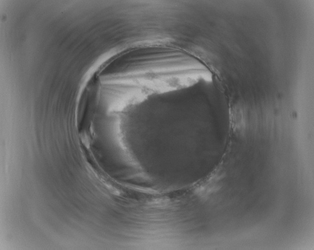 X0000079290196200612081827