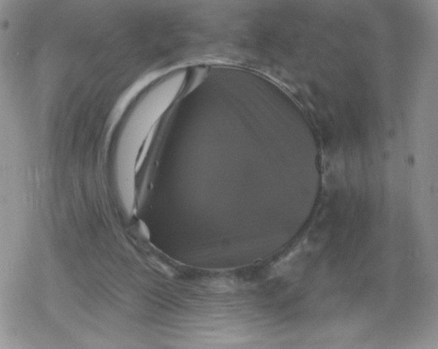 X0000079290200200612081827