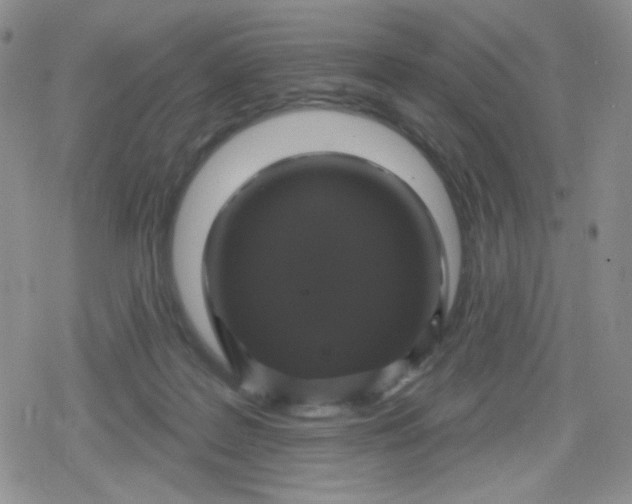 X0000079290219200612081827