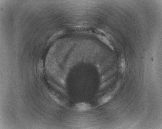 X0000079290231200612081827