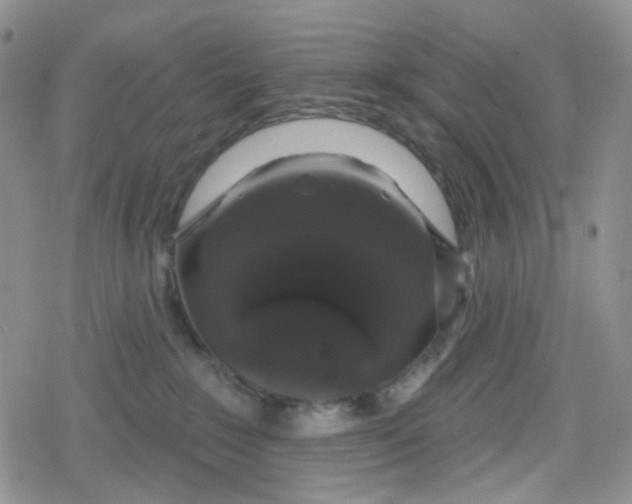 X0000079290235200612081827
