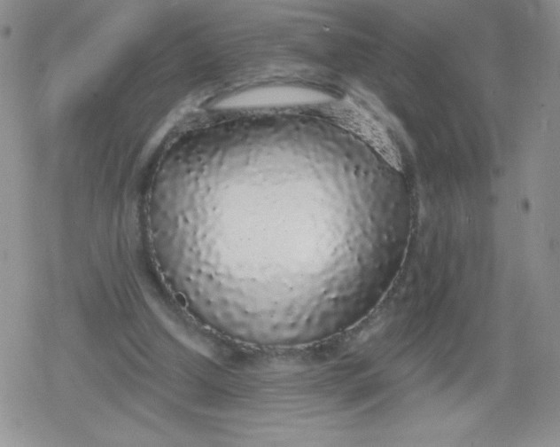 X0000079290250200612081826