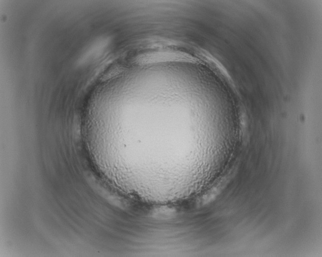 X0000079290257200612081826