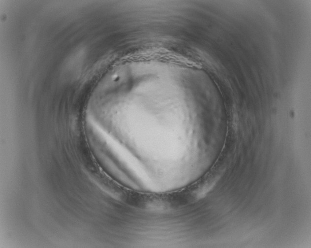 X0000079290258200612081826