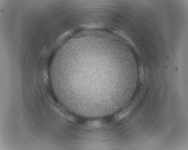 X0000079290259200612081826