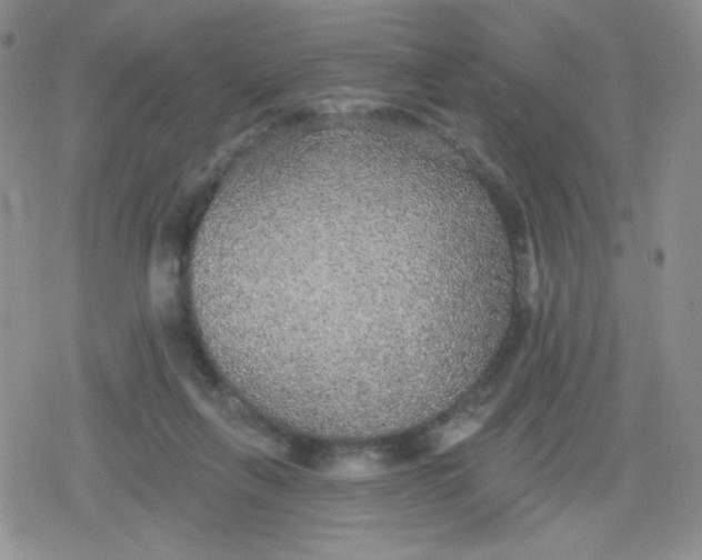 X0000079290263200612081826