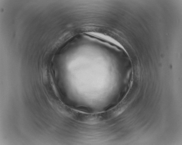 X0000079290267200612081826
