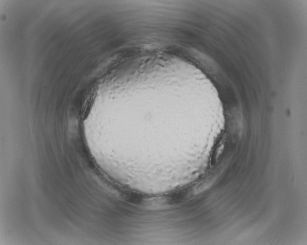 X0000079290269200612081826