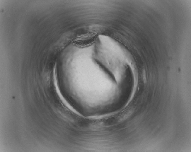 X0000079290271200612081826