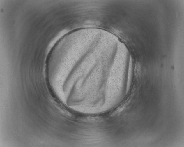 X0000079290292200612081826