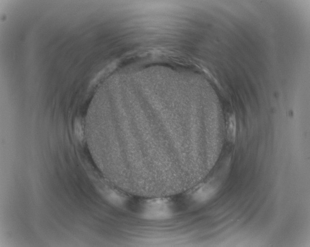 X0000079290335200612081825
