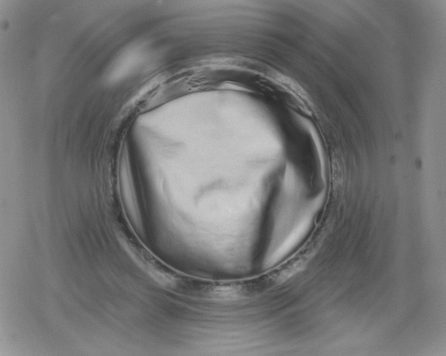 X0000079290349200612081824