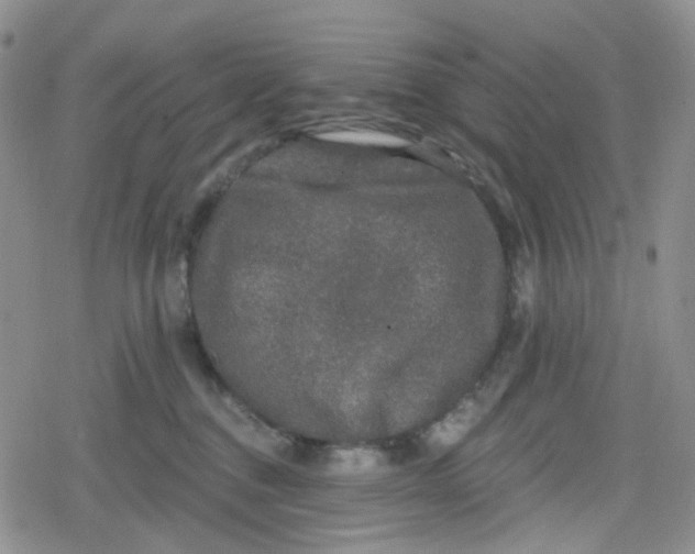 X0000079290376200612081825