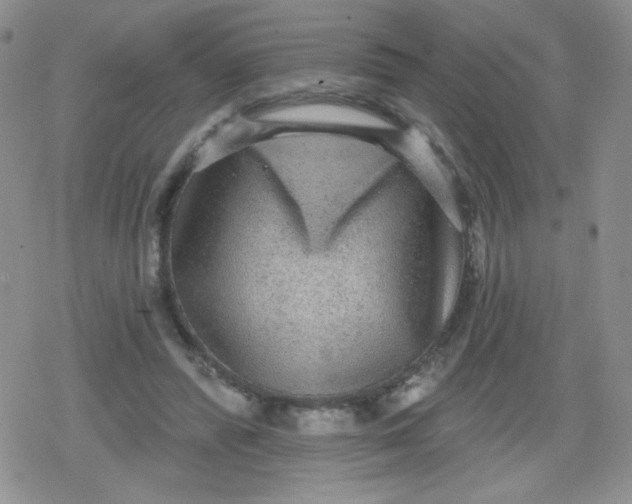 X0000079290400200612081824