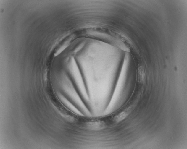 X0000079290404200612081824