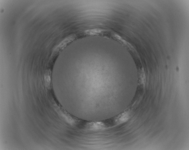 X0000079290427200612081823