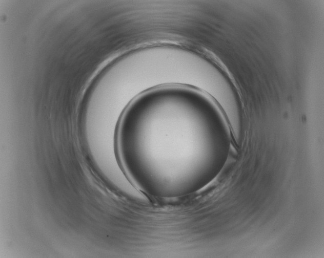 X0000079290435200612081823