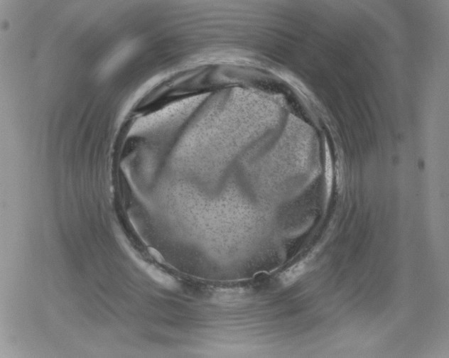 X0000079290438200612081823
