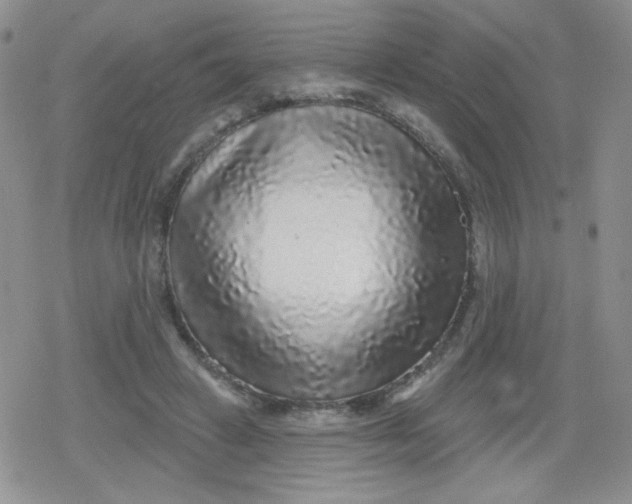 X0000079290449200612081823