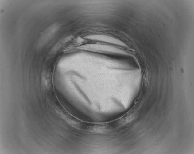 X0000079290462200612081823