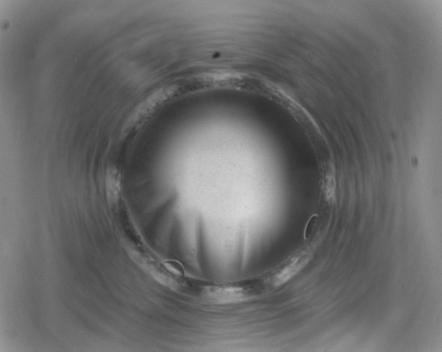 X0000079290476200612081823