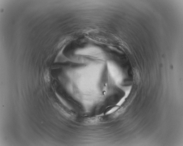 X0000079290479200612081823