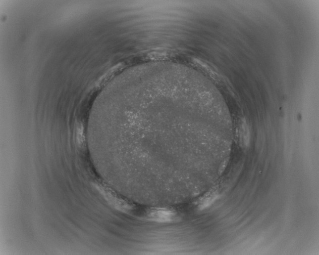 X0000079290610200612081820