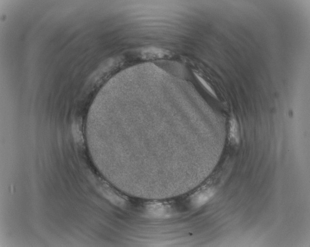 X0000079290616200612081820