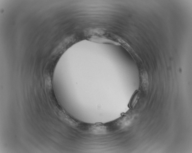 X0000079290617200612081820