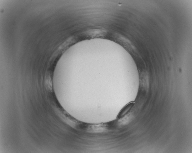 X0000079290622200612081820