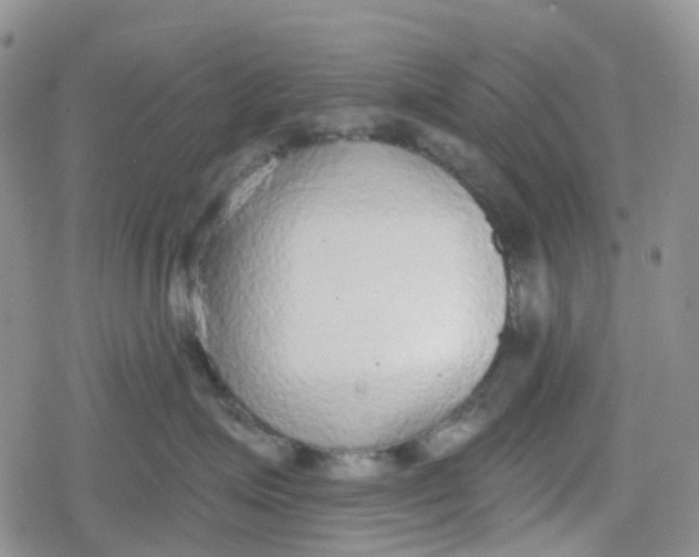 X0000079290623200612081820