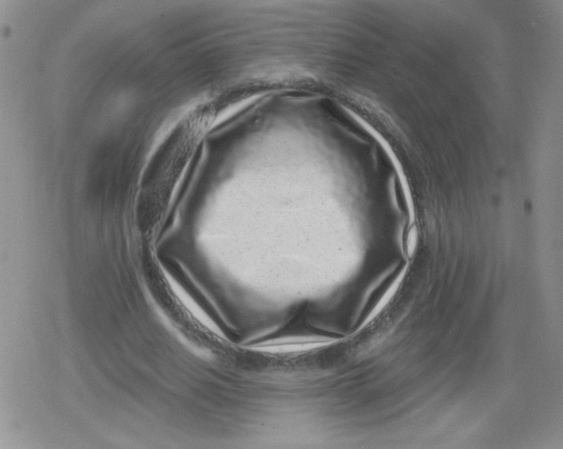 X0000079290630200612081820