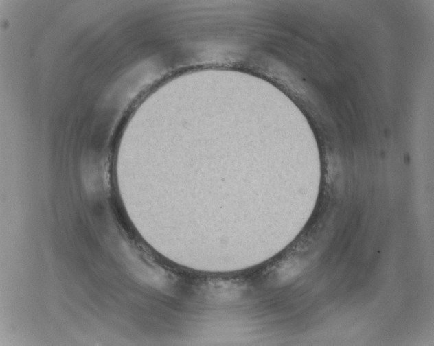 X0000079290632200612081820