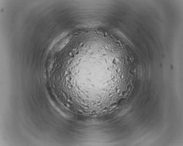 X0000079290634200612081820