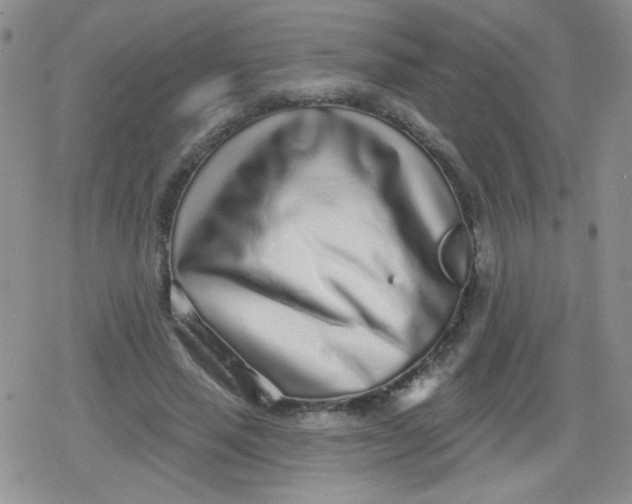 X0000079290637200612081820