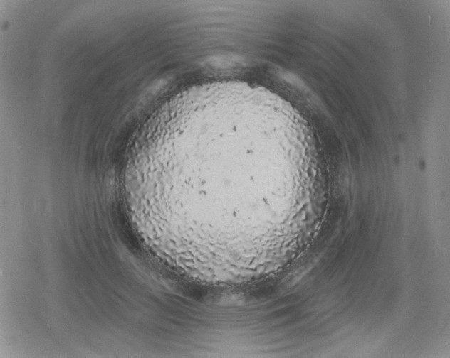 X0000079290647200612081820