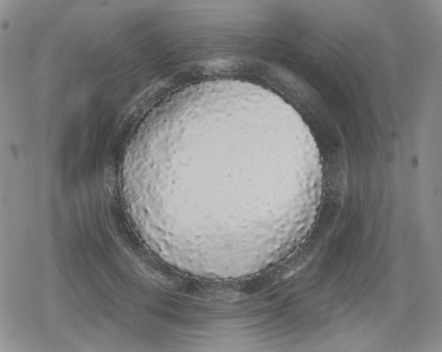 X0000079290648200612081820